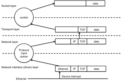 network socket