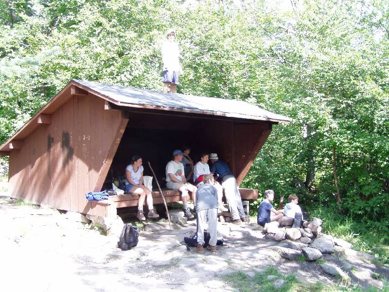 Original image