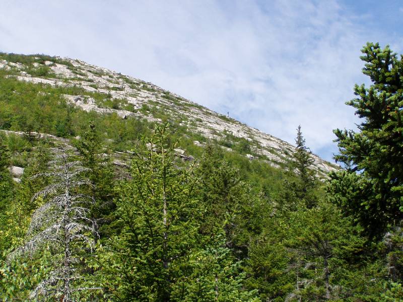 Original image