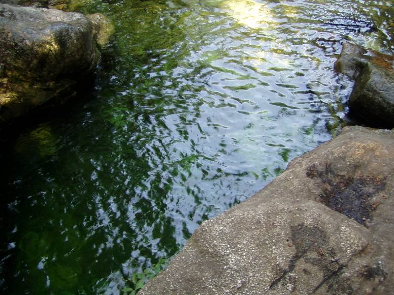 Original image