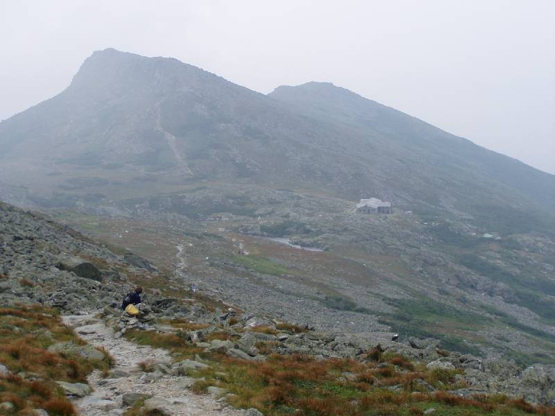 Original image