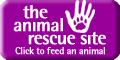 Click to feed an animal